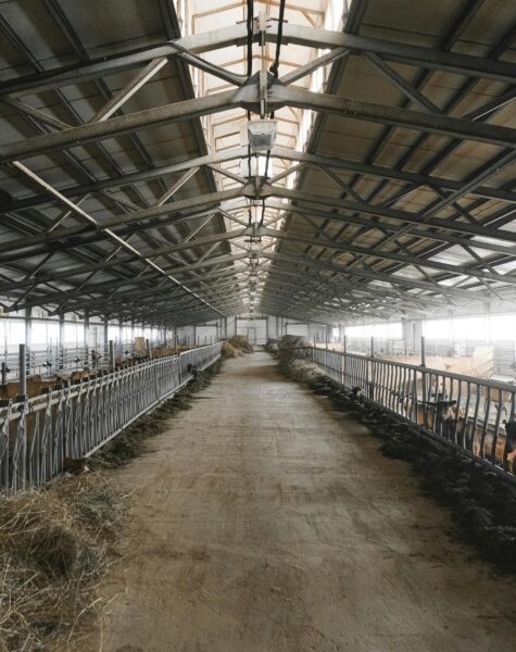 pexels-photo-5953664-5953664 An empty farm barn interior featuring a metal roof and arranged stalls, creating a spacious industrial look.